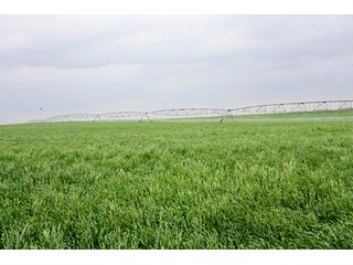 Property photo 105 - LAND AUCTION, 3255+/- Acres offered in 13 Tracts